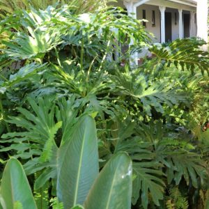 The Oxford Lodge - Beautiful Gardens 2